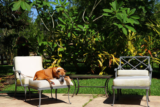 TIPS FOR SELECTING PET-FRIENDLY PATIO FURNITURE