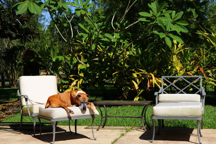 TIPS FOR SELECTING PET-FRIENDLY PATIO FURNITURE