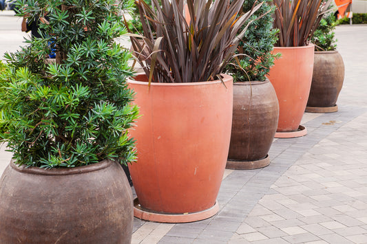 WAYS TO USE PLANTERS TO SHAPE UP YOUR OUTBACK LIVING