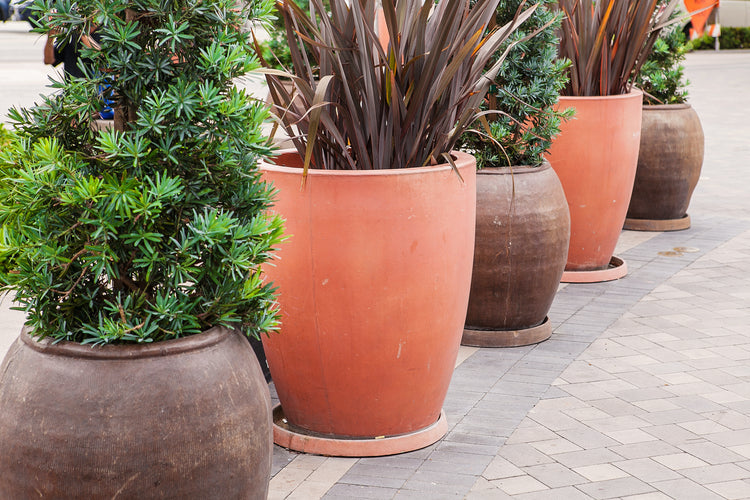 WAYS TO USE PLANTERS TO SHAPE UP YOUR OUTBACK LIVING