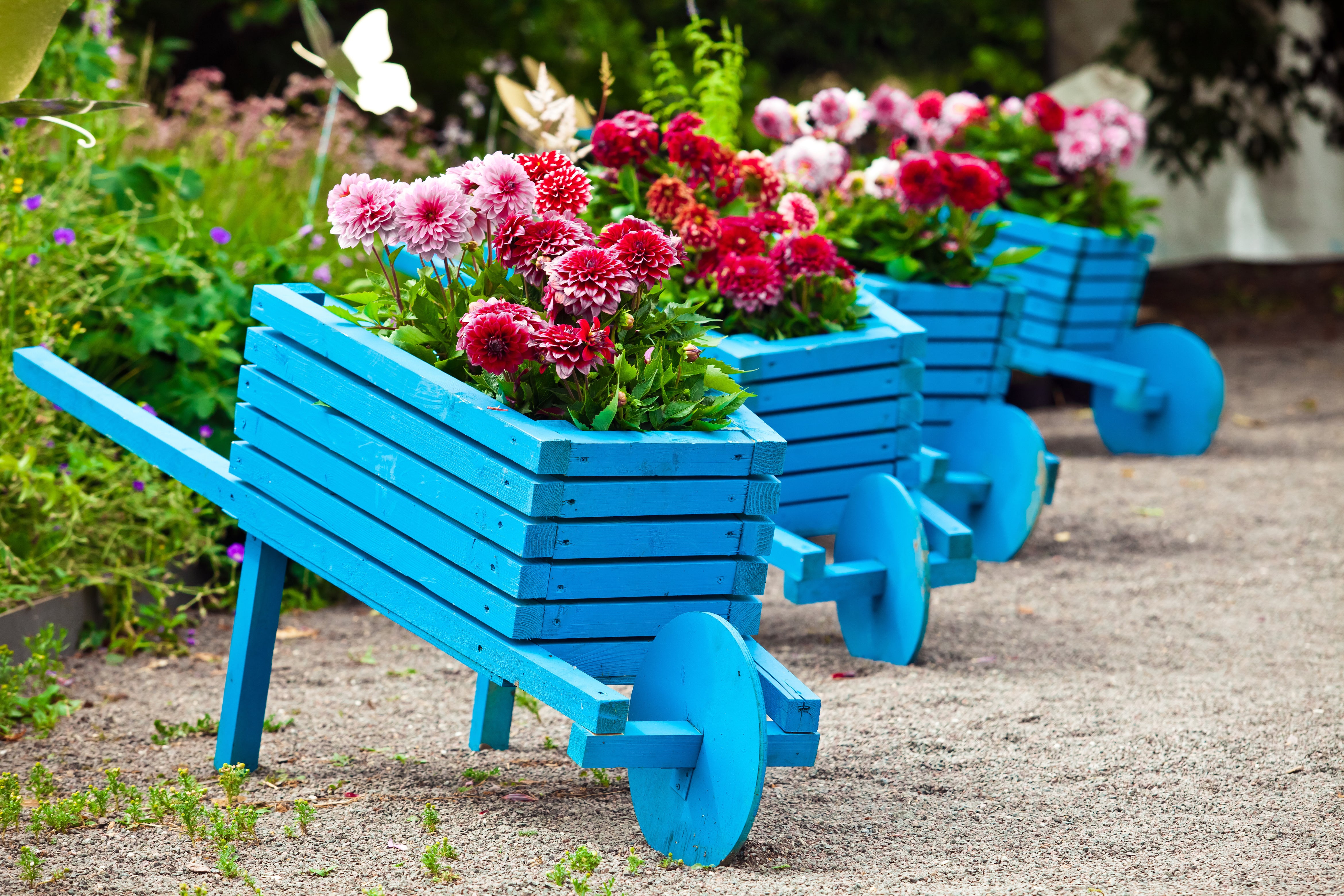 OUTBACK GARDEN